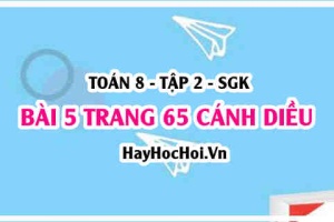 Bài 5 trang 65 Toán 8 Tập 2 Cánh Diều